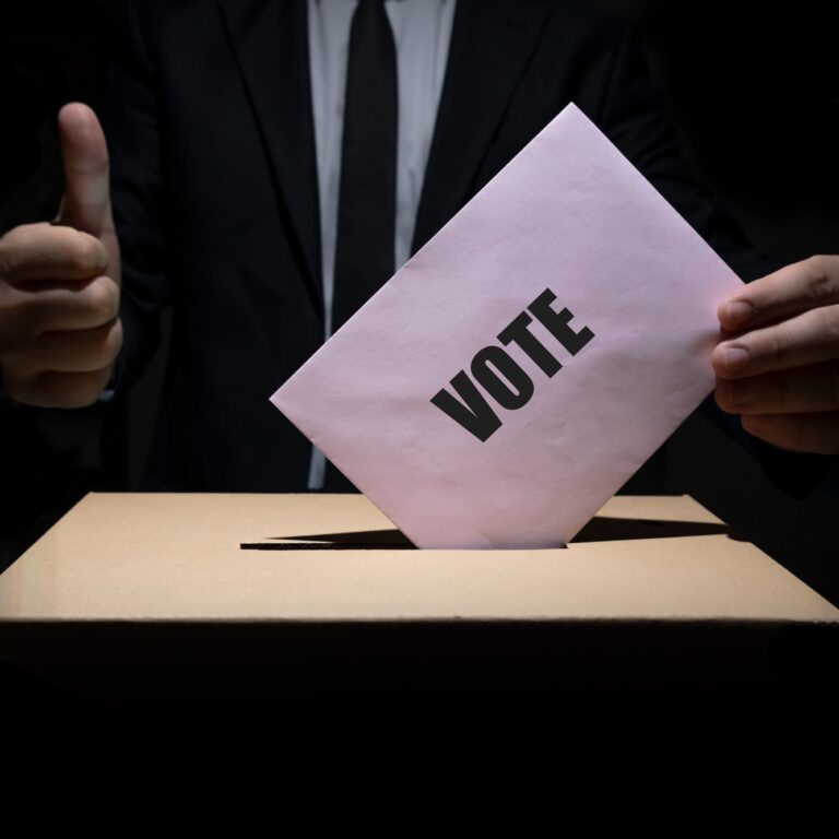 Voters in suits using voting.